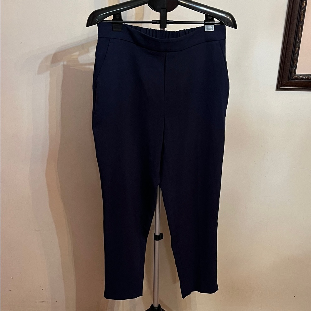 NWOT Banana Republic Navy Women's Pants